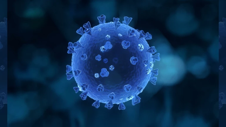 COVID-19 Outbreak: Thane's death toll reaches 6,000-mark COVID-19 Outbreak: Thane's death toll reaches 6,000-mark