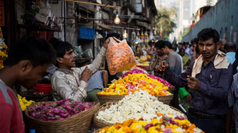गणेशोत्सवासाठी दादरचं फूल मार्केट विविध फुलांनी सजलं गणेशोत्सवासाठी दादरचं फूल मार्केट विविध फुलांनी सजलं