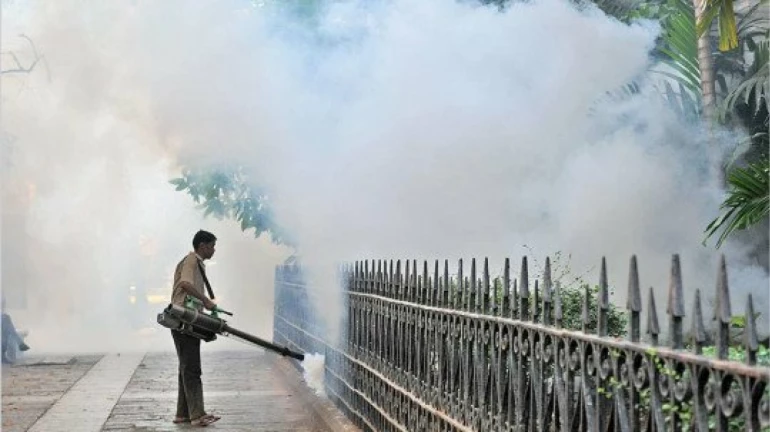 मुंबई में 35,000 डेंगू हॉटस्पॉट नष्ट