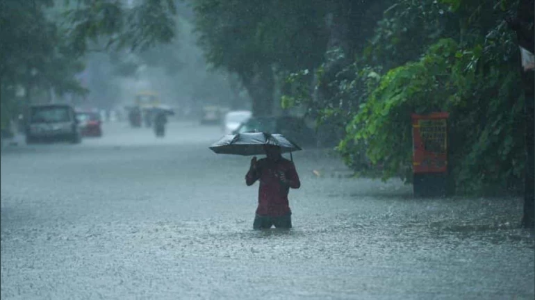 ऑगस्ट महिन्यातील पावसाने मोडला ४४ वर्षांचा विक्रम ऑगस्ट महिन्यातील पावसाने मोडला ४४ वर्षांचा विक्रम