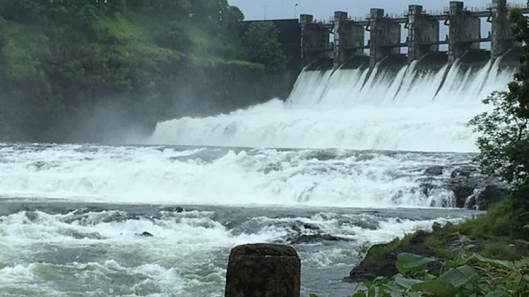 Relief for Thane district as Bavri dam overflows