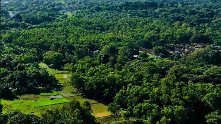 600 acres of Aarey land near Sanjay Gandhi National Park reserved as forest: CM Uddhav Thackeray