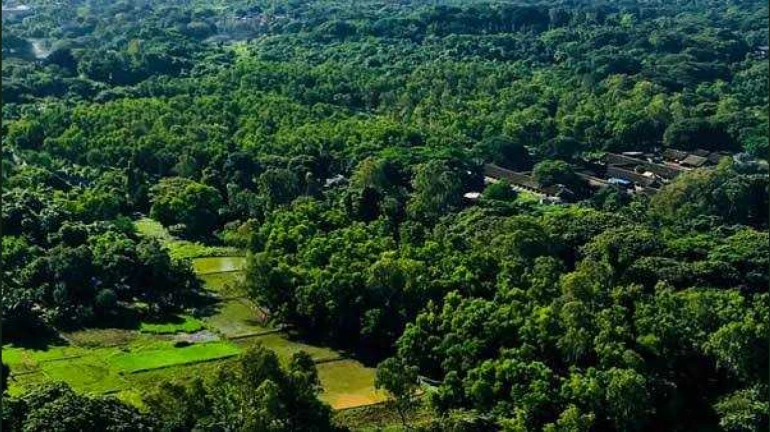 आरेतील ६०० एकर जागा वनांसाठी राखीव, मुख्यमंत्र्यांचा महत्त्वपूर्ण निर्णय आरेतील ६०० एकर जागा वनांसाठी राखीव, मुख्यमंत्र्यांचा महत्त्वपूर्ण निर्णय