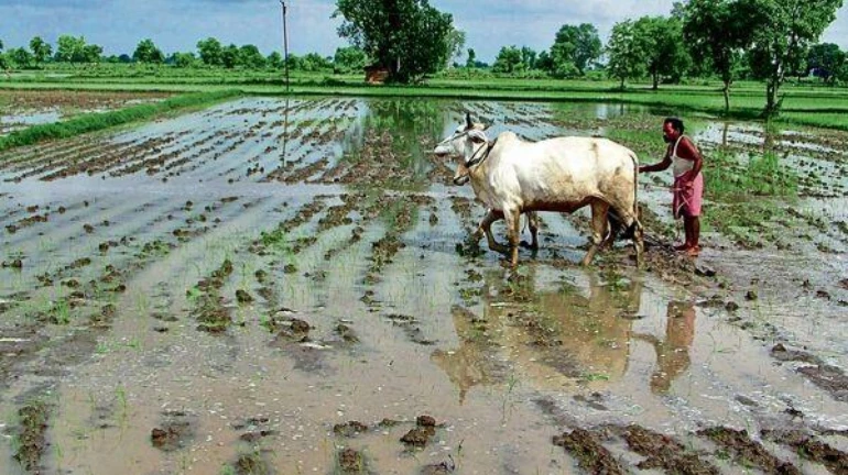 जल शक्ति मंत्रालय ने लघु सिंचाई योजनाओं पर छठी जनगणना रिपोर्ट जारी की जल शक्ति मंत्रालय ने लघु सिंचाई योजनाओं पर छठी जनगणना रिपोर्ट जारी की