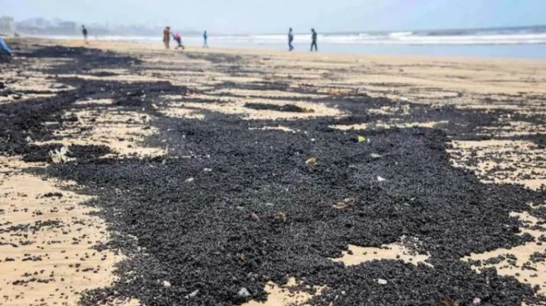 जुहू समुद्र किनारी काळ्या वाळूची चादर जुहू समुद्र किनारी काळ्या वाळूची चादर