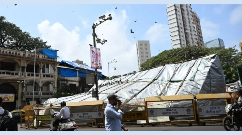 कबुतरांच्या खाण्याचा विचार करू नका: हायकोर्ट कबुतरांच्या खाण्याचा विचार करू नका: हायकोर्ट