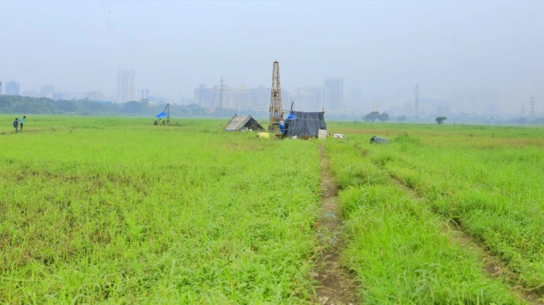 Maharashtra Govt plans to construct car shed at Goregaon Pahadi Maharashtra Govt plans to construct car shed at Goregaon Pahadi