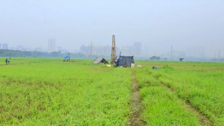 Maharashtra Govt urges committee to suggest appropriate site for metro car shed Maharashtra Govt urges committee to suggest appropriate site for metro car shed