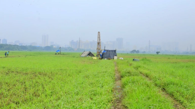 Centre asks Maharashtra to halt work on car shed project at Kanjurmarg Centre asks Maharashtra to halt work on car shed project at Kanjurmarg