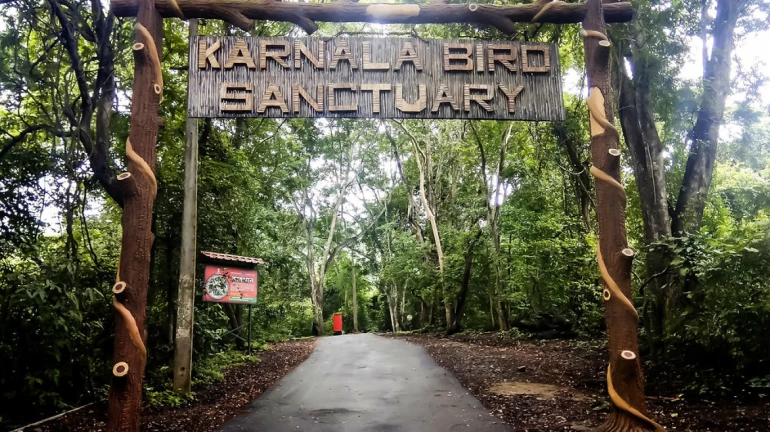 Navi Mumbai: Karnala Bird Sanctuary In Panvel To Undergo Major Revamp With New Facilities And Attractions Navi Mumbai: Karnala Bird Sanctuary In Panvel To Undergo Major Revamp With New Facilities And Attractions