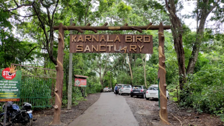 Trap Cameras and Upgrades Propel Karnala Sanctuary’s Conservation and Visitor Experience Trap Cameras and Upgrades Propel Karnala Sanctuary’s Conservation and Visitor Experience