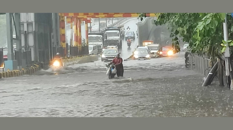 Heavy To Very Heavy Rains Alert For Mumbai, Thane; Rainfall Crosses 225mm in 24 hours