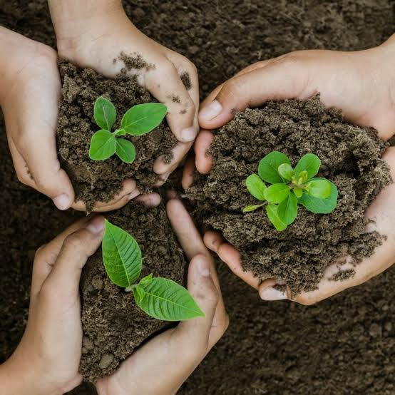 किसान कनेक्ट रोपे की होम डिलीवरी