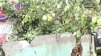 कुर्ल्यात दरड कोसळून दोघांचा मृत्यू कुर्ल्यात दरड कोसळून दोघांचा मृत्यू