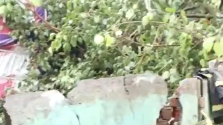 Kurla Landslide: Mumbai Mayor Inspects Rescue Operation, Announces Financial Aid Kurla Landslide: Mumbai Mayor Inspects Rescue Operation, Announces Financial Aid