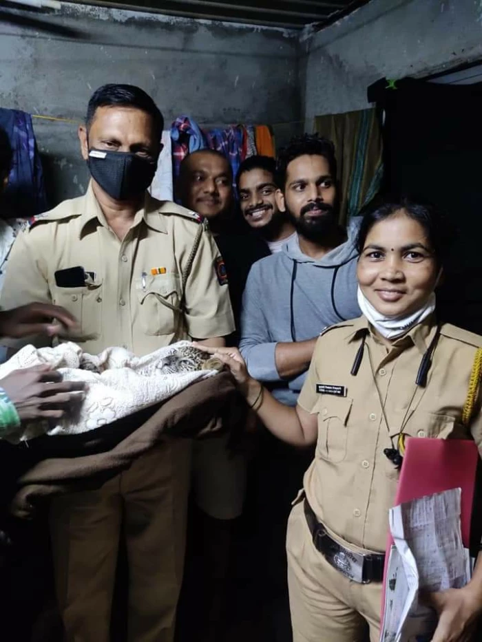 Leopard Cub Found In Aarey, Search For Mother Begins
