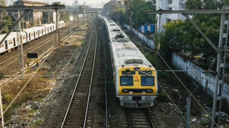 मुंबई- पश्चिम रेलवे लोकल ट्रेनों में लगेज कोच को सीनियर सिटीजन कम्पार्टमेंट में बदलेगा मुंबई- पश्चिम रेलवे लोकल ट्रेनों में लगेज कोच को सीनियर सिटीजन कम्पार्टमेंट में बदलेगा