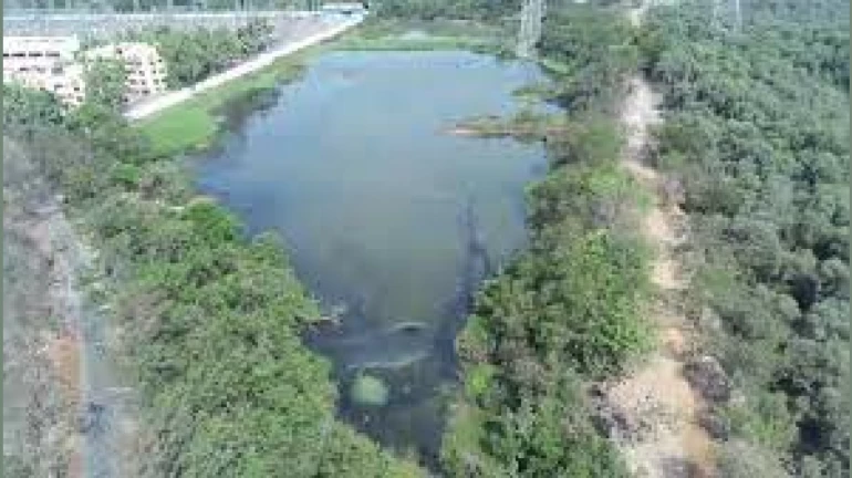 Local Residents Join Forces to Protect Lokhandwala Lake Local Residents Join Forces to Protect Lokhandwala Lake