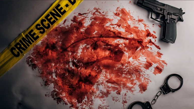 महाराष्ट्र मे हो रहा यूपी, बिहार जैसा क्राइम? एक महीने में चार गोलीबारी महाराष्ट्र मे हो रहा यूपी, बिहार जैसा क्राइम? एक महीने में चार गोलीबारी