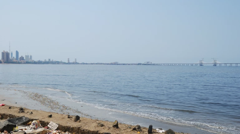 Construction Work At Versova Beach Runs Into Trouble With The National Green Tribunal
