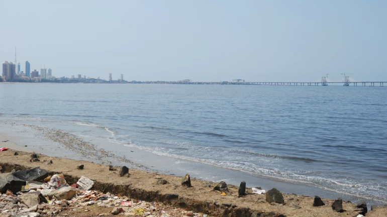 वांद्रे किल्ला ते माहीम किल्ला बोर्ड वॉक मुंबईतील नवीन आकर्षण वांद्रे किल्ला ते माहीम किल्ला बोर्ड वॉक मुंबईतील नवीन आकर्षण