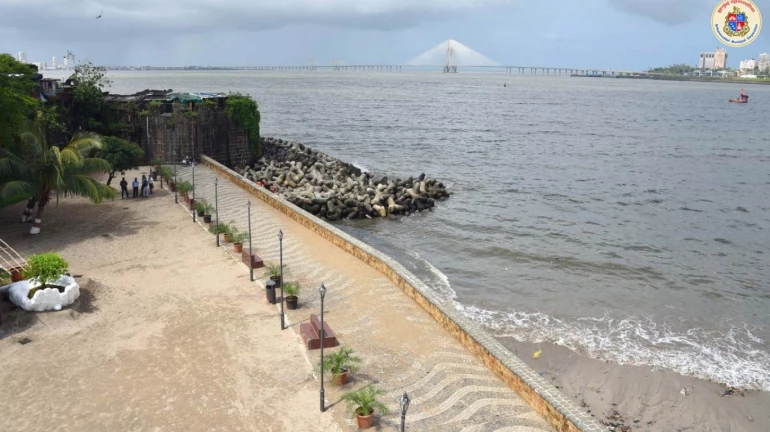 Mumbai's Mahim beach now open for tourists after beautification
