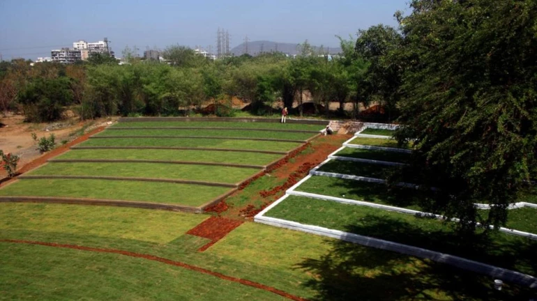 माहिम नेचर पार्क को धारावी पुनर्विकास परियोजना में शामिल नहीं किया जाएगा