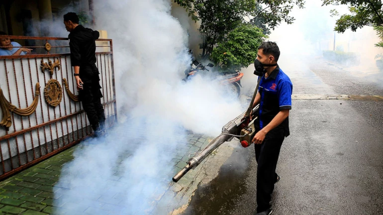 Cases of Malaria reduce in Mumbai Cases of Malaria reduce in Mumbai