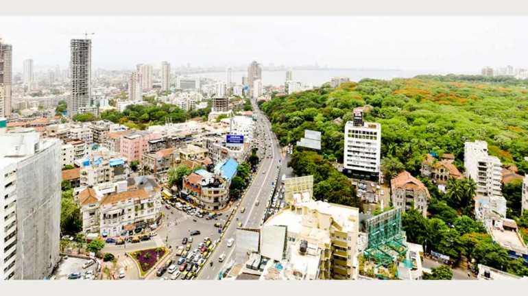 मलबार हिल टेकडीला संरक्षण भिंत उभारणार मलबार हिल टेकडीला संरक्षण भिंत उभारणार