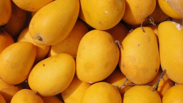 Thane: Mango festival to be held at Gaondevi Maidan from May 2 onwards Thane: Mango festival to be held at Gaondevi Maidan from May 2 onwards