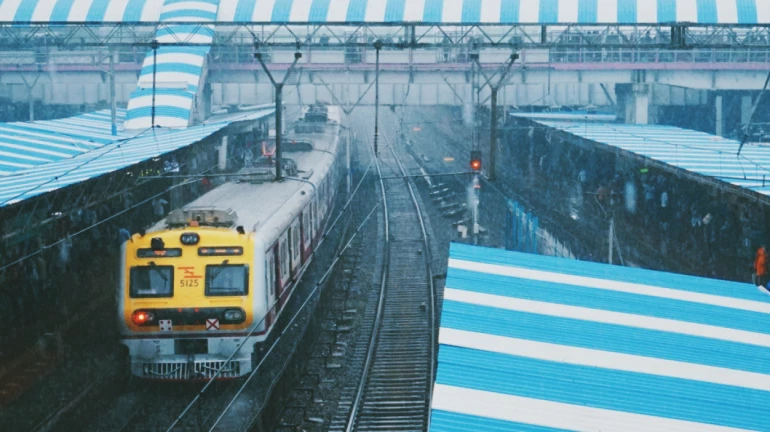 बारिश से मुंबई की झीलों का जलस्तर करीब 60 प्रतिशत बारिश से मुंबई की झीलों का जलस्तर करीब 60 प्रतिशत