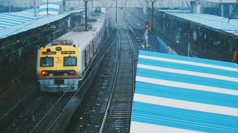 हार्बर और सेंट्रल लाइनों पर CSMT से ठाणे तक रेल सेवाएं अगली सूचना तक बंद हार्बर और सेंट्रल लाइनों पर CSMT से ठाणे तक रेल सेवाएं अगली सूचना तक बंद