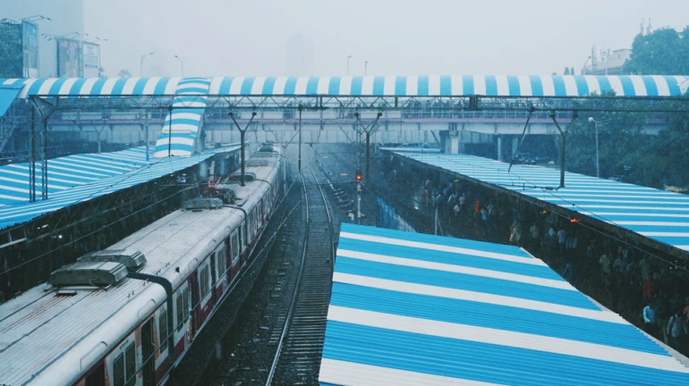 Mumbai Rains: Twelve Maharashtra cities register more rainfall than their annual quota