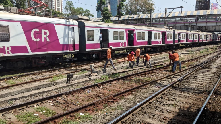 पनवेल-कर्जत रेल्वे मार्गाचे काम पूर्णत्वाकडे पनवेल-कर्जत रेल्वे मार्गाचे काम पूर्णत्वाकडे