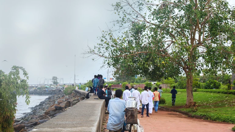 Thane: Bamboo Forests and Green Zones Planned at Atkoli Garbage Site Thane: Bamboo Forests and Green Zones Planned at Atkoli Garbage Site