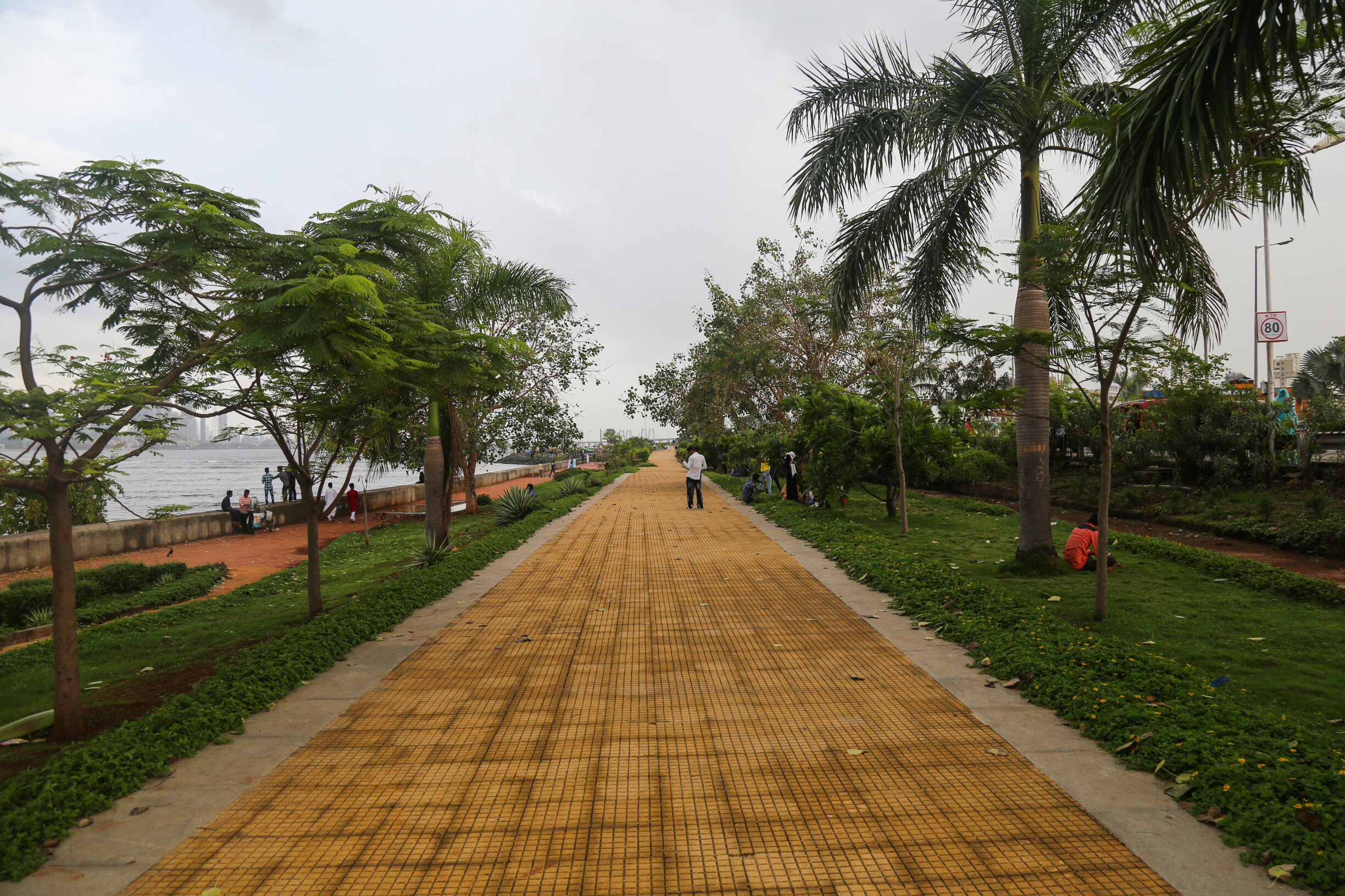 Maharashtra ranked No 1 in India for having most green spaces