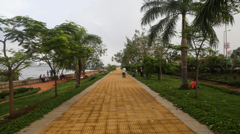 Maharashtra ranked No 1 in India for having most green spaces Maharashtra ranked No 1 in India for having most green spaces