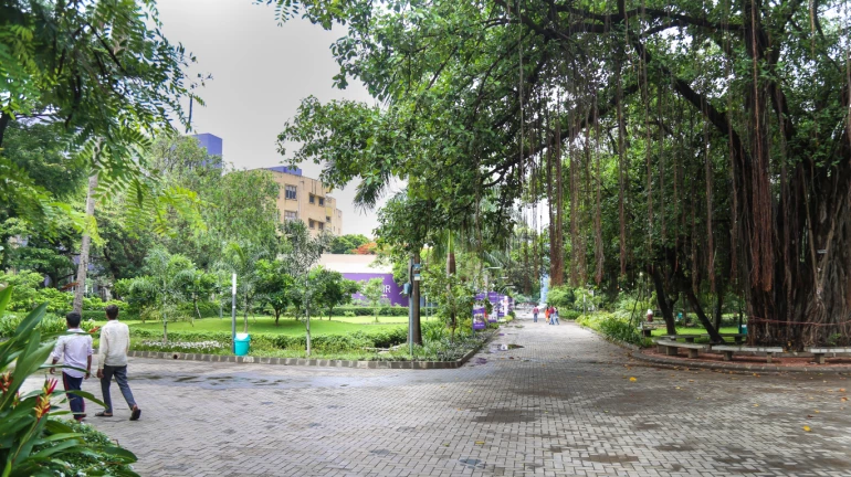 Andheri residents complain of developer grabbing open plot Andheri residents complain of developer grabbing open plot