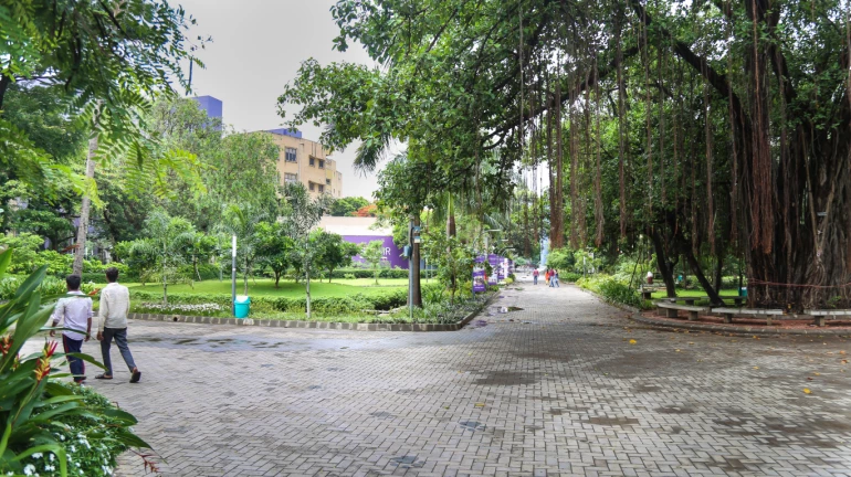 Mumbai colleges can reopen after consulting local administration Mumbai colleges can reopen after consulting local administration