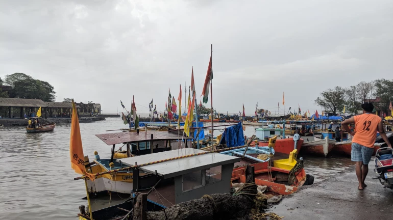Chinese Fishing Vessels Near Mumbai Coast Doubling as Mini Spy Ships: Intel Report