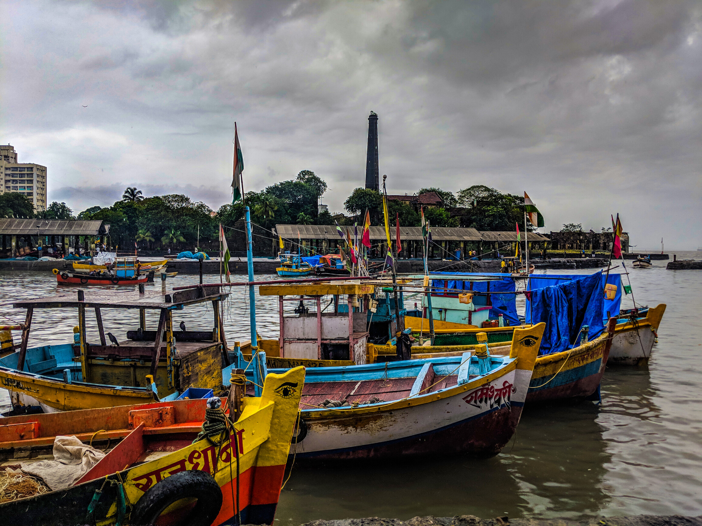 जाळं टाकलं आणि मच्छिमाराचं नशीब पालटलं, 'या' माशांना लागली दीड कोटींची बोली