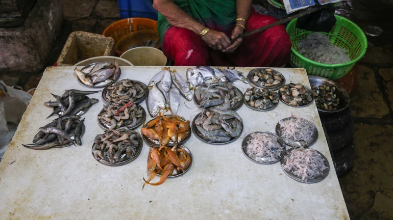 आर्थिक संकटामुळं अनेकांचा मासे विक्रीकडे कल आर्थिक संकटामुळं अनेकांचा मासे विक्रीकडे कल