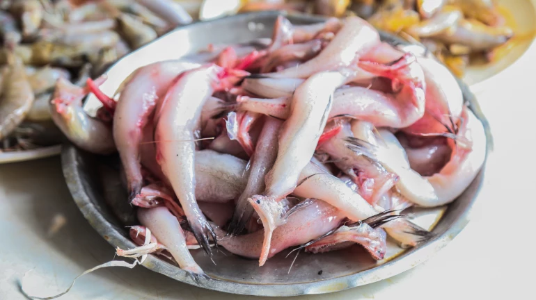 मत्स्य निर्यातीत महाराष्ट्र देशात दुसऱ्या स्थानी मत्स्य निर्यातीत महाराष्ट्र देशात दुसऱ्या स्थानी