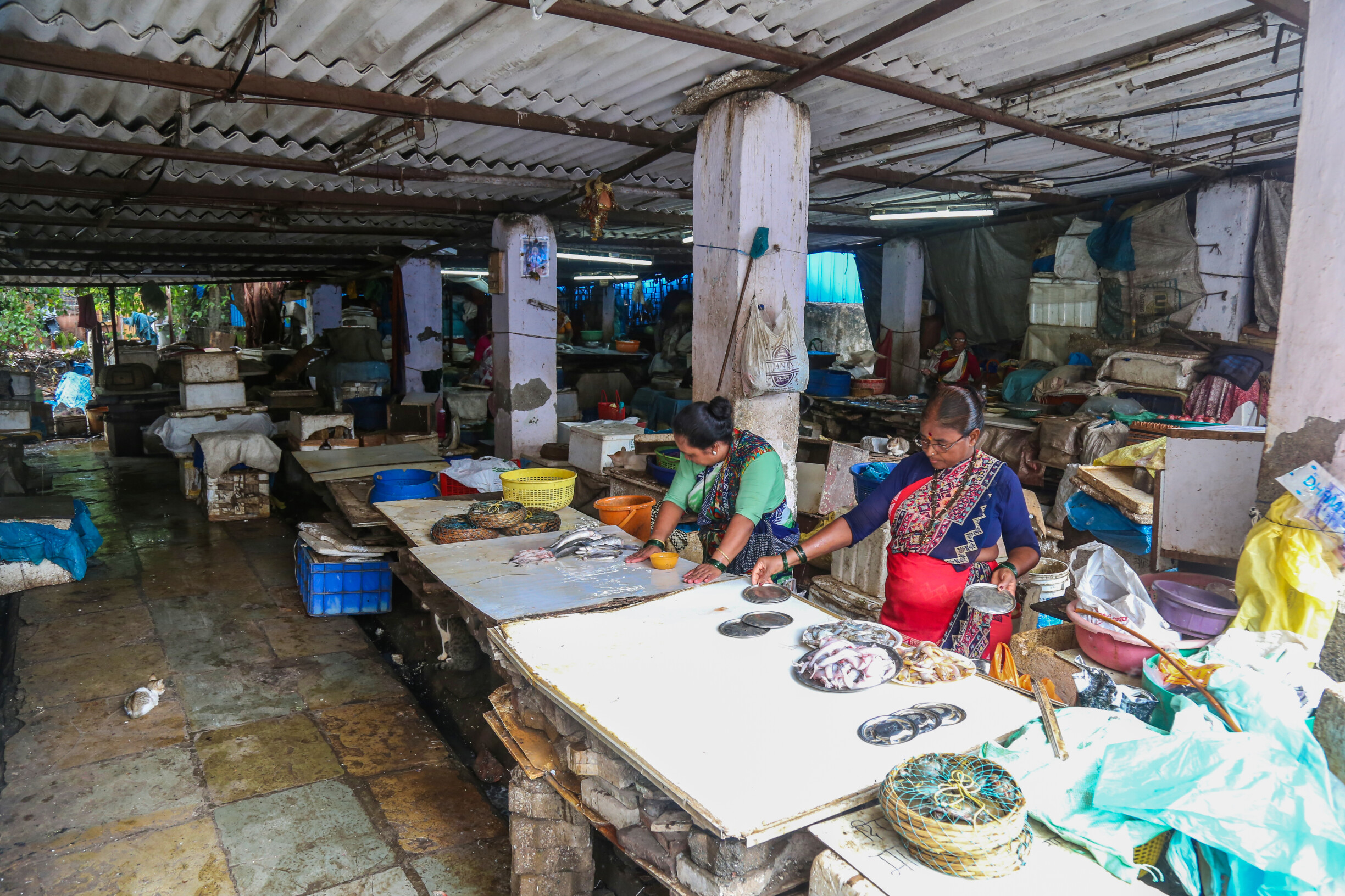 अमेरिकेने वाढवलेल्या टॅरीफचा सीफूड उद्योगावर परिणाम