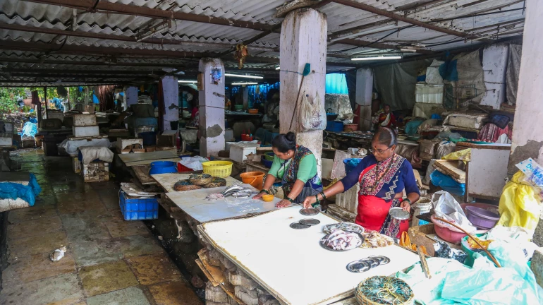 दादर मत्स्य बाजार पुनर्वसनासाठी रहिवाशांची निदर्शने दादर मत्स्य बाजार पुनर्वसनासाठी रहिवाशांची निदर्शने