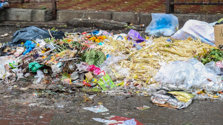 कचऱ्यासंबंधी तक्रार करणं सोप्पं,'या' क्रमांकावर पाठवा फोटो कचऱ्यासंबंधी तक्रार करणं सोप्पं,'या' क्रमांकावर पाठवा फोटो