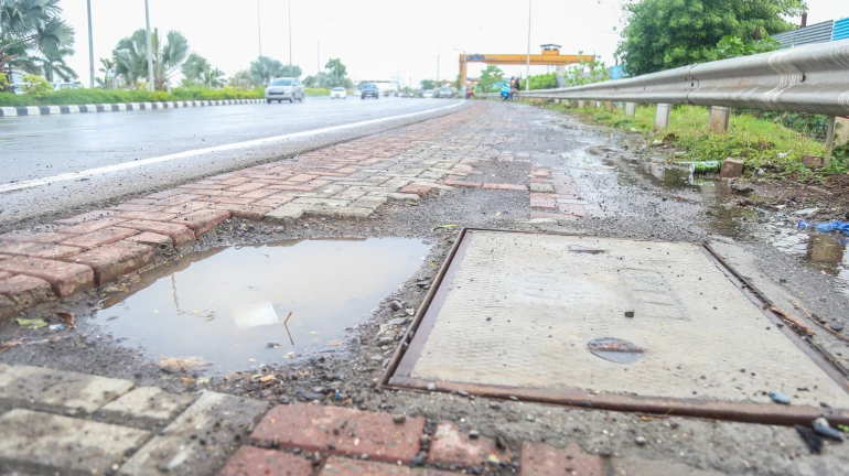 Thane: Nearly 800 Potholes Detected, 620 Filled So Far, Claims TMC Survey Thane: Nearly 800 Potholes Detected, 620 Filled So Far, Claims TMC Survey