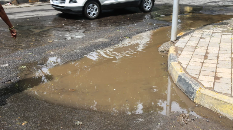 BMC Launches WhatsApp Helpline for Potholes; Promises a Resolution Within 48 Hours BMC Launches WhatsApp Helpline for Potholes; Promises a Resolution Within 48 Hours