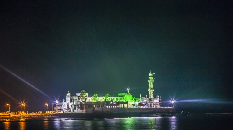 Mumbai: Coral Translocation Begins as Officials Survey Haji Ali Colonies Mumbai: Coral Translocation Begins as Officials Survey Haji Ali Colonies