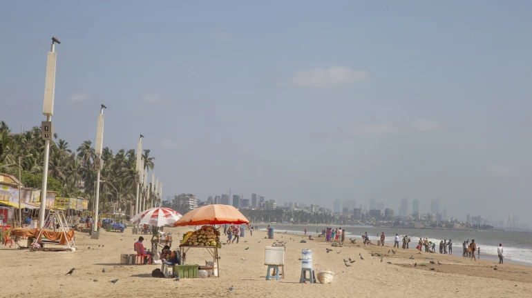 महाराष्ट्रातील 12 जिल्ह्यांमध्ये 80% संशयित उष्माघाताचे मृत्यू महाराष्ट्रातील 12 जिल्ह्यांमध्ये 80% संशयित उष्माघाताचे मृत्यू